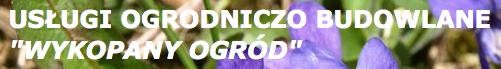 Logo Wykopany Ogród