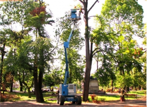 wynajem Podnośnik koszowy,przegubowo teleskopowy spalinowy,Nożycowy 10,12,20 m