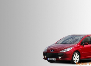 Peugeot 307 1.6 16V