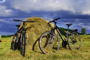 wynajem Rowery i akcesoria do turystyki rowerowej