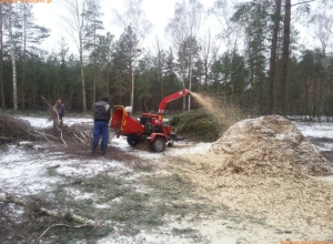 Rębak do gałęzi