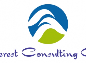 Logo Everest Consulting Group 