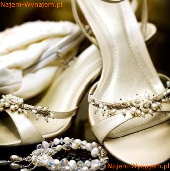 FILMOWANIE WESEL OSIEMNASTEK STUDNIÓWEK