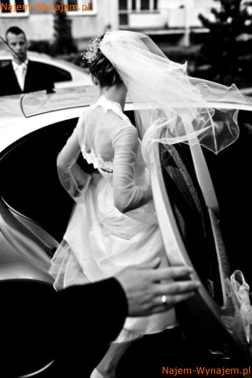 Łukasz Stępniak Fotografia