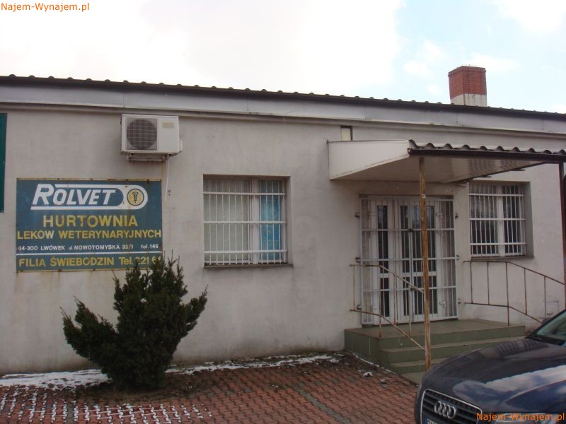 Świebodzin - centrum - lokal użytkowy na wynajem